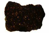 Polished Diogenite Meteorite ( g) Slice - NWA #375681-1